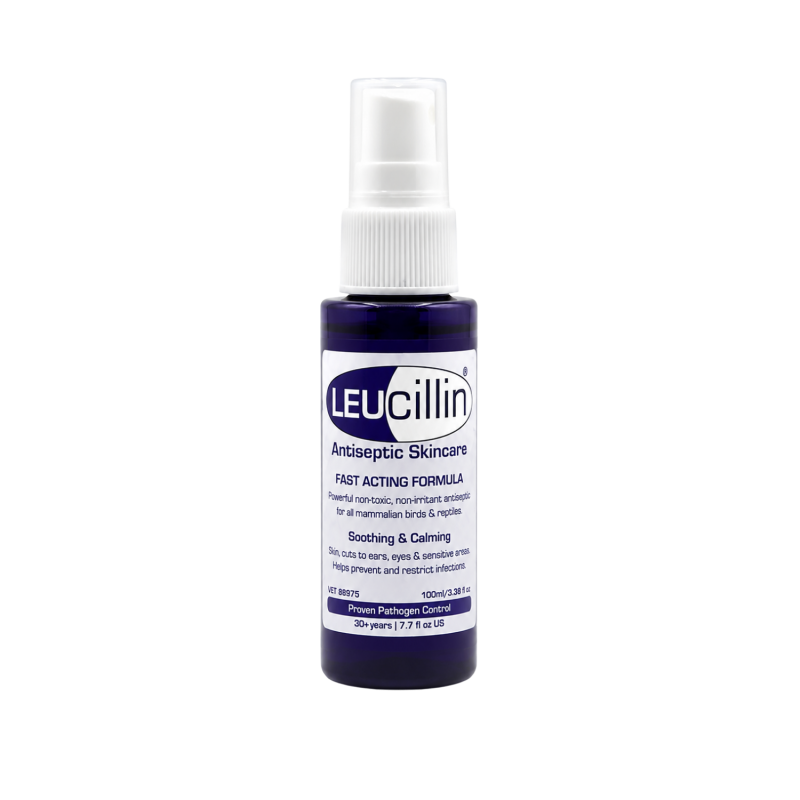 Leucillin Antiseptic Spray 30ml