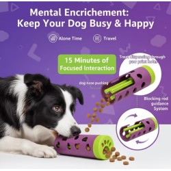 Interactive Dog Slow Feeder & Treat Dispenser