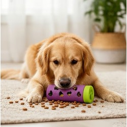 Interactive Dog Slow Feeder & Treat Dispenser