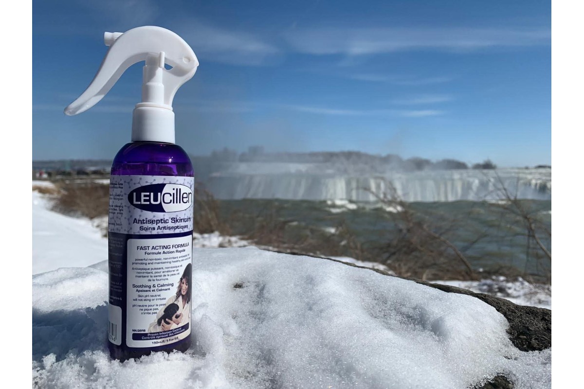 The vital role of Leucillin in canine care