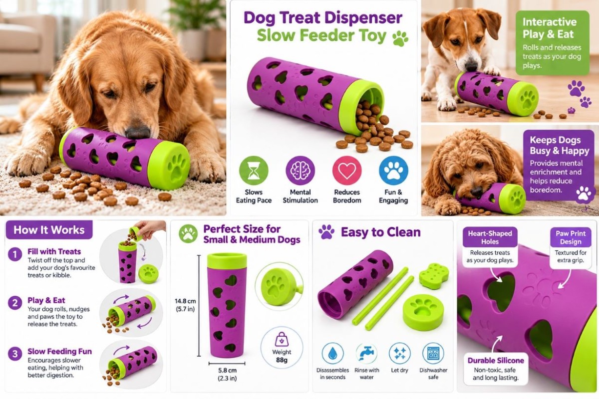 How to Use an Interactive Dog Slow Feeder & Treat Dispenser